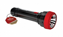Фонарь РЕКОРД аккумуляторный PM-450, черный