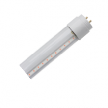 Лампа Gauss LED Elementary T8 Glass 1200mm G13 20W 6500K