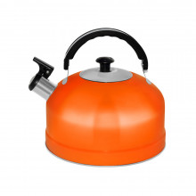 Чайник на плиту со свистком IRIT IRH-424 нерж. сталь, объем 2,5л. (оранжевый)